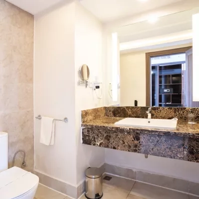 salle de bain vasque marbre toilettes fermés style classique