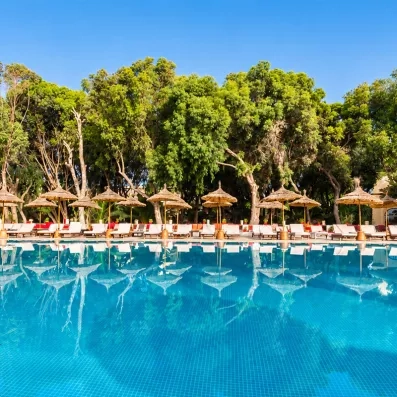 Grande piscine entourée de palmiers et transats ombragés, ambiance paisible