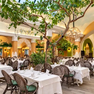 restaurant avec un arbre au centre