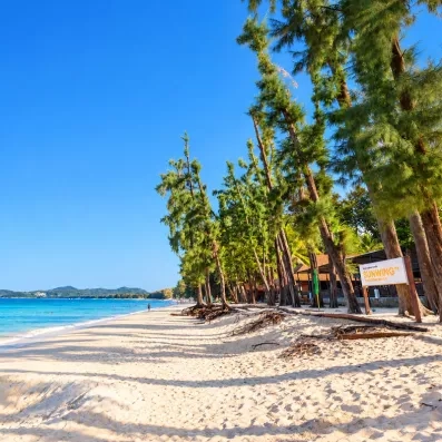 Bord de mer avec une plage sauvage bordée de grands arbres sous un ciel bleu.