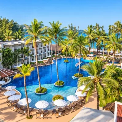Une piscine en tourée de transats et de cocotiers