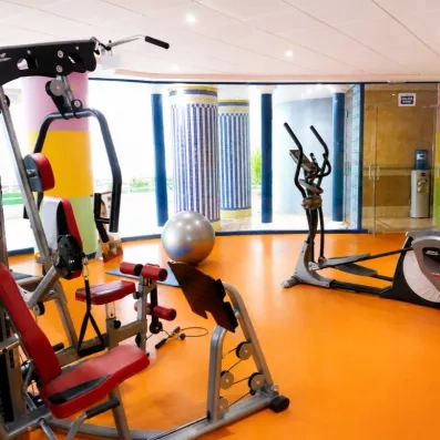 Une salle de fitness équipée de diverses machines de musculation et de cardio.