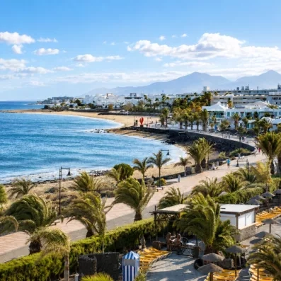 Une vue panoramique sur une côte rocheuse avec des palmiers le long de la plage.