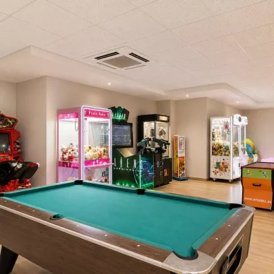 salle de jeux avec une table de billard