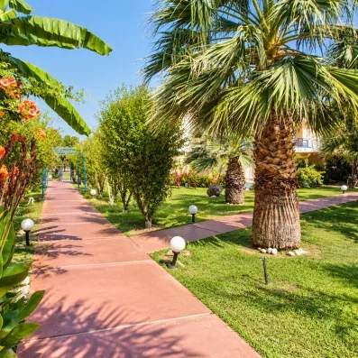 allée extérieure avec palmiers et végétation à côté du bâtiment