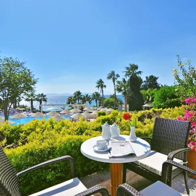 Un coin petit-déjeuner paisible en terrasse offrant une vue sur une piscine et des palmiers.