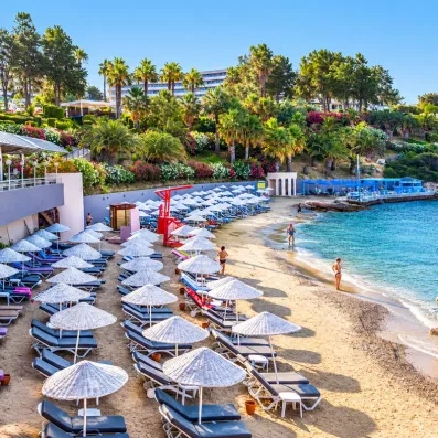 Une plage privée avec de nombreux parasols et de palmiers sous un soleil.
