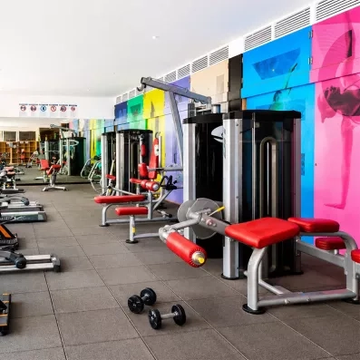 Une salle de sport, équipée de divers appareils de musculation et de cardio pour s'entraîner.