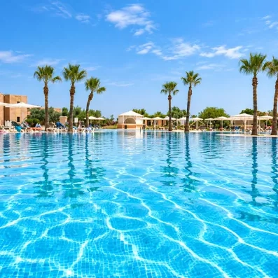 Vue sur la piscine avec palmier, avec un jardin au fond et un ciel bleu