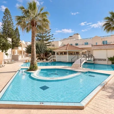 piscine extérieur avec un pont au milieu, des végétations et un ciel bleu