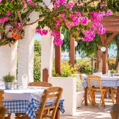 la terrasse du restaurant avec bougainvilliers roses et des tables et des chaises