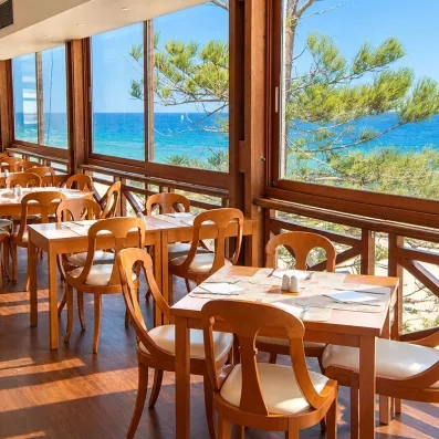 restaurant avec tables et chaises avec vue sur la mer et sur un sapin