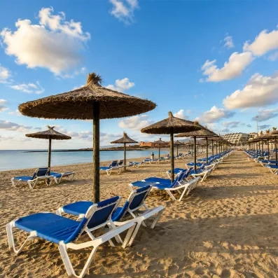 Une rangée de parasols en paille et de transats alignés sur une plage de sable.