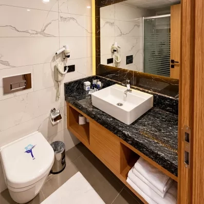salle de bain avec toilette