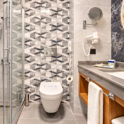 salle de bain avec douche et toilette