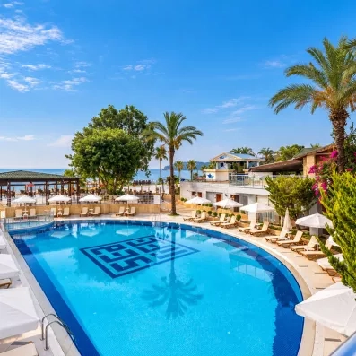 piscine extérieur avec transats et palmiers