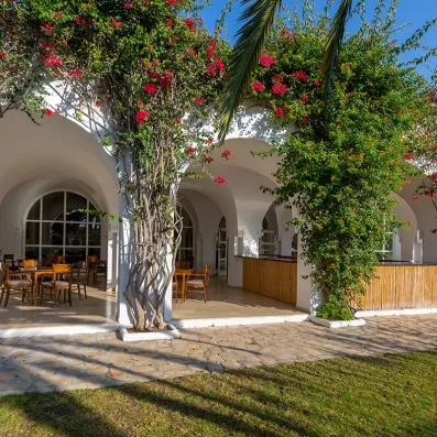 Terrasse du bar-restaurant du Mondi Club Shalimar avec bougainvilliers en fleurs à Hammamet