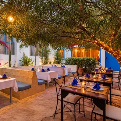 Dîner en terrasse sous un arbre illuminé au restaurant extérieur du Mondi Club Shalimar