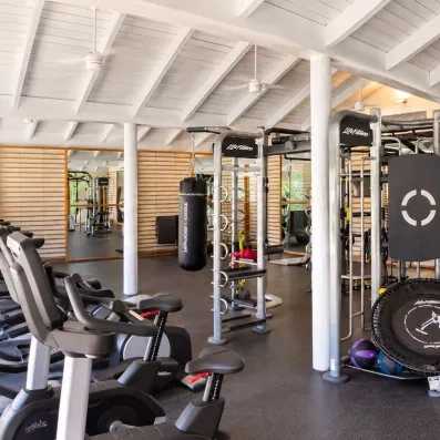 salle de fitness, vélos, sac de boxe, trampoline pour ballon, miroir, machines de musculation
