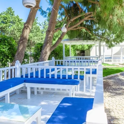 canapés extérieur bleues et jardin 