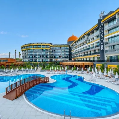 vue de la piscine extérieur avec un petit ponteau