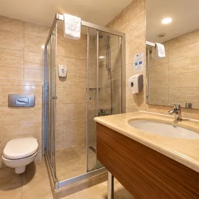 Une salle de bain moderne avec une douche à paroi vitrée et un meuble vasque en bois.