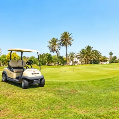 Voiturette de golf sur le green verdoyant du Djerba Golf Club bordé de palmiers en Tunisie.