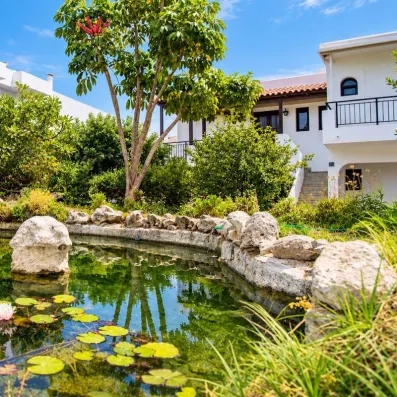 petit jardin de l'hôtel avec petit bassin et végétation