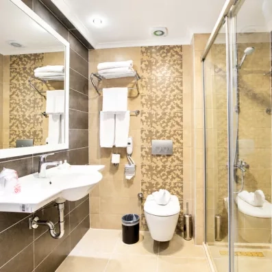 salle de bain avec douche et toilette