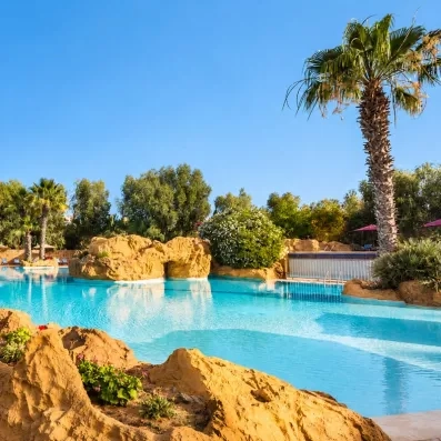 piscine extérieure avec rochers et palmier