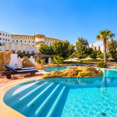 piscine extérieure avec rochers 