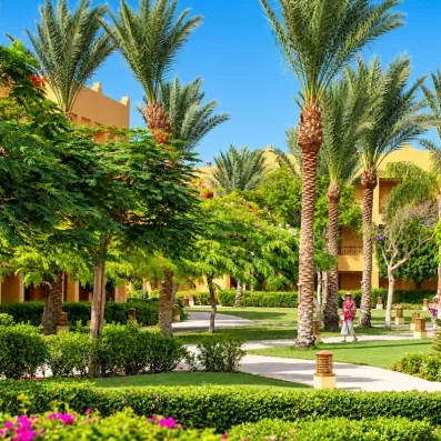 jardin avec palmiers, verdure, et fleurs au Stella Beach à Hurghada en Egypte