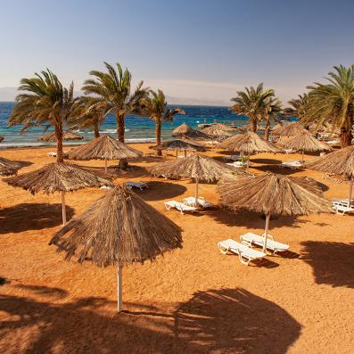 parasols sur la plage