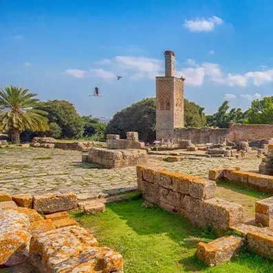 Nécropole de Chellah à Rabat, ruines antiques entourées de verdure, site archéologique au charme paisible.