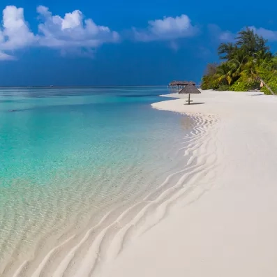 Plage de Punta Cana en République dominicaine, sable fin, eaux turquoise et cocotiers pour des vacances paradisiaques