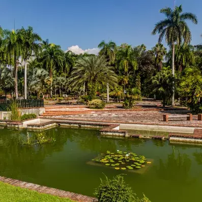 jardin botanique à Saint domingue avec un bassin et de nombreux palmiers