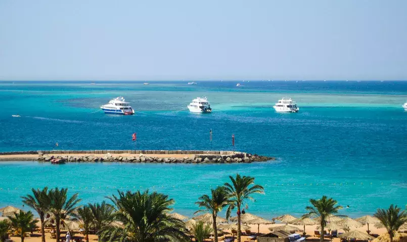 Plage de la mer Rouge avec palmiers et parasols, eau turquoise et ciel dégagé, illustration du climat ensoleillé d’Égypte.
