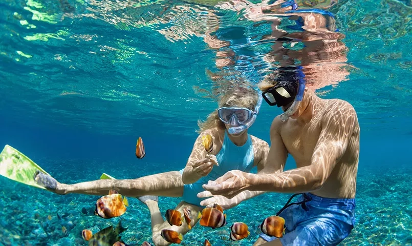 2 personnes faisant de la plongée avec masque et tuba