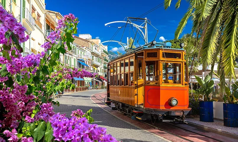 Un train pittoresque roule dans une rue fleurie sous le soleil. 
