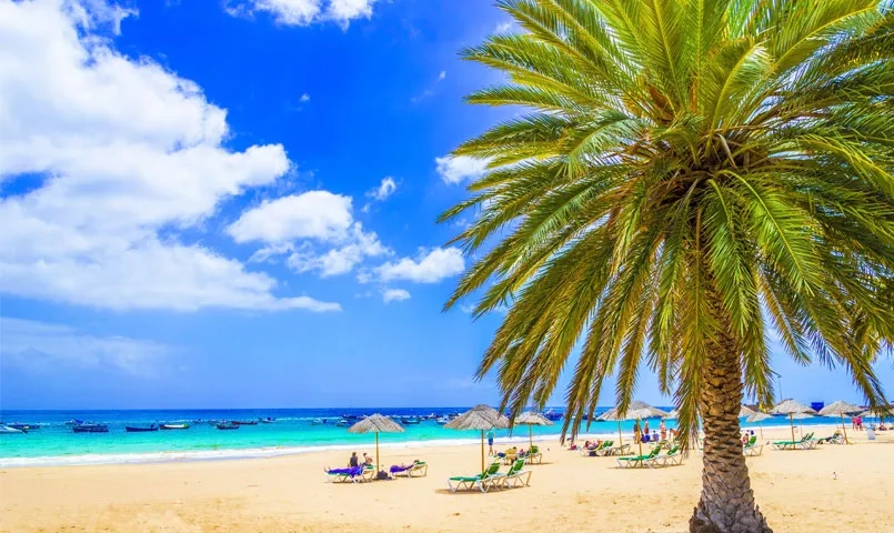 Plage tropicale avec palmier, chaises longues et mer turquoise. 