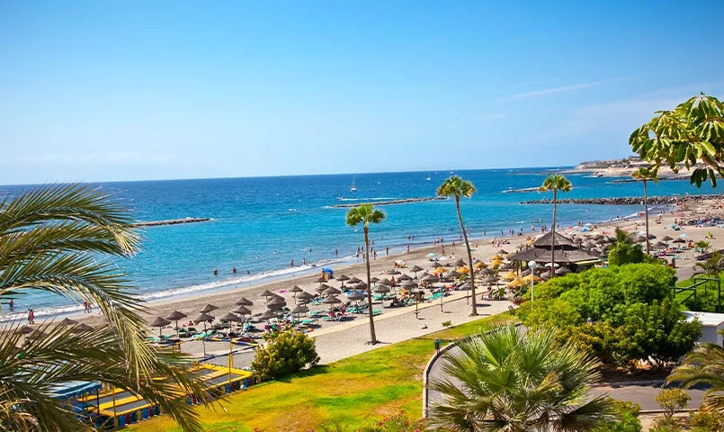 Plage ensoleillée avec palmiers, parasols et mer bleue.
