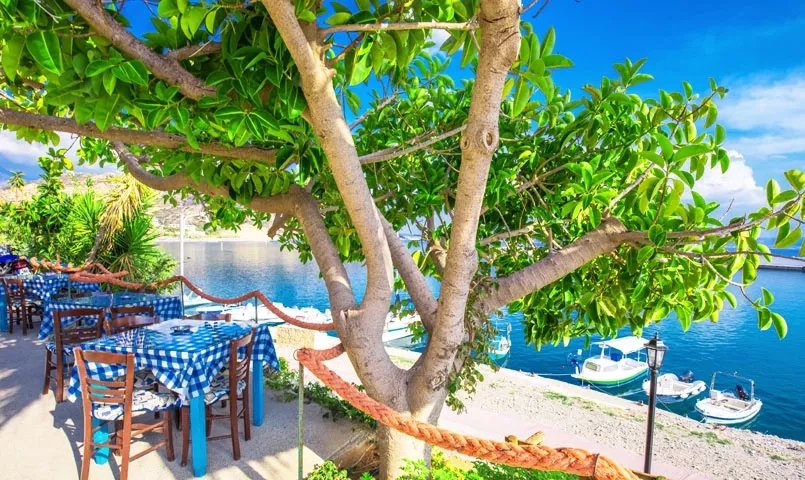 Un restaurant en bord de la mer avec des tables dressées sous un arbre. 