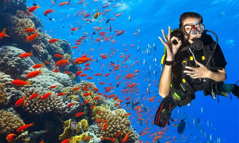 Une plongeuse entouré de poissons rouges. 