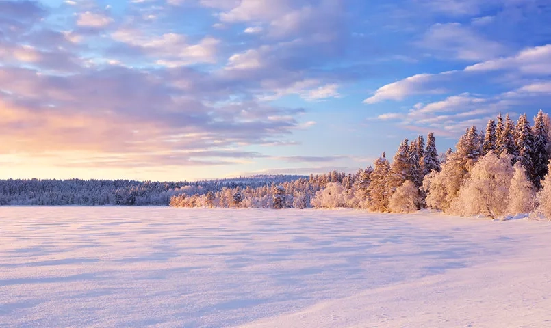 Un paysage hivernal avec un ciel bleu, un champ de neige et une forêt d'arbres givrés. 