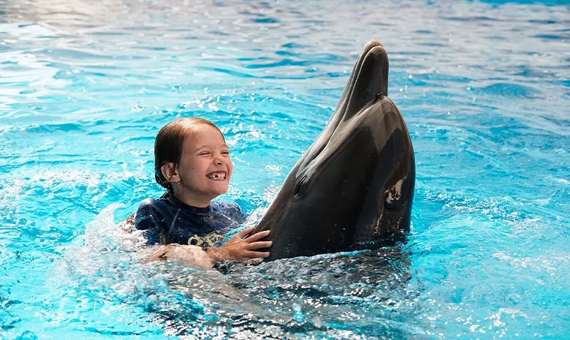 Une fille souriante nageant avec un dauphin dans une piscine bleue.