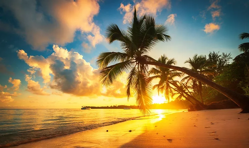 Un coucher de soleil tropical sur une plage de sable fin avec des palmiers et des vagues douces. 