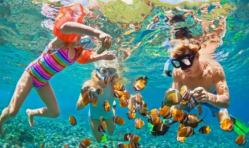 Une famille fait du snorkeling et nourrit des poissons colorés dans des eaux bleues. 