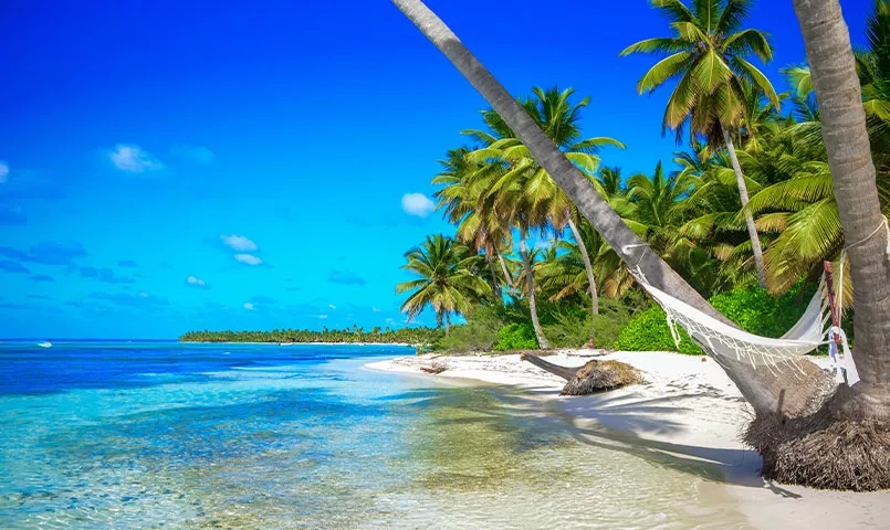 Une plage tropicale avec des palmiers et une mer bleue cristalline.
