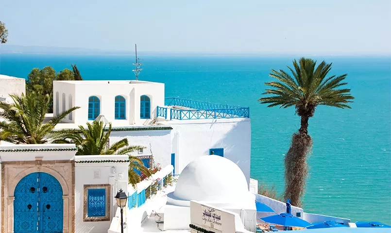 Un village blanc typique avec des portes bleues et un palmier surplombe la mer bleue 