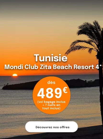 Un coucher de soleil sur la mer en Tunisie avec un palmier